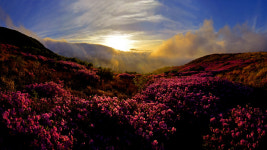 해인사와 올곧은 선비길…남명조식의 기운을 느끼다