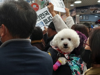 '호남 구애' 나선 이재명…