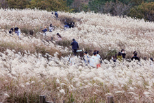 제주 만장굴,  완전한 암흑과  빛 한 줄기의 경이로움