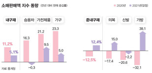 [데이터 뉴스] 가전·가구→가방·옷… 소비 트렌드가 보여주는 코로나 일상