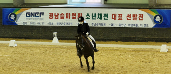 [함안24시] 함안군 승마공원서 소년체전 경남대표 선발전 열려