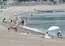 그냥 살게 놔두라 평화 깨진 여수 밤바다 마을에 무슨 일이?