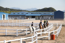 [함안24시] 함안군, 법수면 제2승마장 악양승마장으로 명명