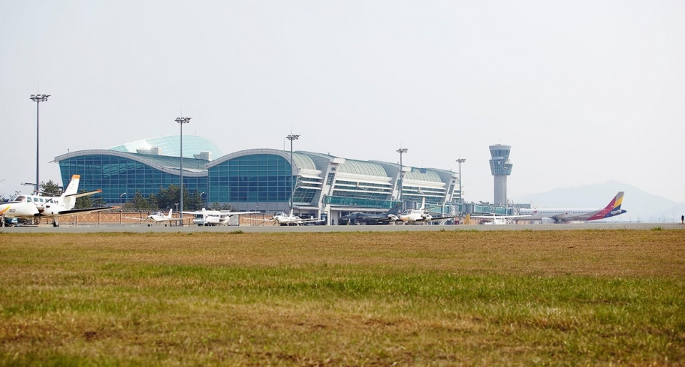 무안공항 여객기 사고로 인한 176명 사망, 버드 스트라이크 발생률 국내 최고로 밝혀져
