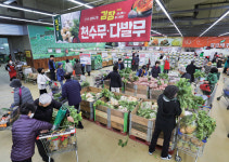 [포토뉴스] 치솟은 김장 물가에  서민들, 고르고 또 고르고…