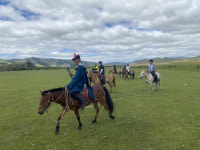 사람은 서울로, 그런데 말은 왜 제주로 보내지? [김지나의 그런데 말(馬)입니다]