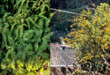 [이 계절 이 여행] 주민이 초대하는 다정한 여행, 고흥