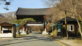 [단독] 사찰 vs 관광객 갈등의 상징 백양사 매표소 사라진다