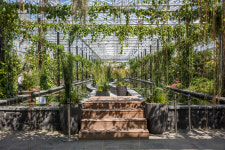 [이 계절 이 여행] 나비랑 함평 생태 여행