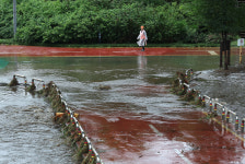 서울 도림천∙목감천 등 수도권 하천 10곳 홍수특보