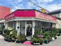 마지막 집창촌, 평택 쌈리는 새롭게 교차할 수 있을까 [김지나의 문화로 도시읽기]