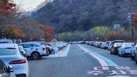 시책 하나가 지역 살렸다…주차장 무료화했더니 백양사 100만명 찾아