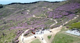 [합천24시] 합천군, 휴(休)가 있는 힐링관광 도시 육성 전력