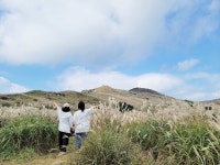 은빛 억새 물결 출렁이는 합천 황매산…10월18일 억새축제 개막