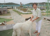 유기동물이나 반려동물을 돌보면서 위로와 행복 느껴