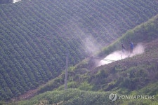 [날씨] 오늘도 폭염 계속…서울·대구·대전 등 낮 최고 36도