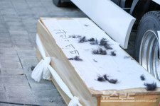 과천 시민·마사회 노조, 9800호 공급안에 민·노 연대 결집...삶터와 일터 다 빼앗으려나