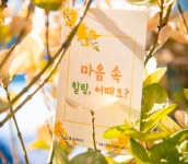 용산구, 이태원 이동 심리상담소 개설