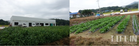 한 끼 도시락이 만든 지역의 변화, 경기도사회적경제원 새로온으로 성장의 길을 열다