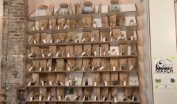 [당신은 공정무역마을에 사시나요?] 스물한 살 공정무역마을은 어떤 모습일까