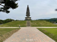 [더 가까이, 충주] 중원문화 대표 유산 신라석탑 중 유일한 칠층 석탑 중앙탑(충주 탑평리 칠층석탑)