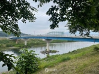 [더 가까이, 충주] 시민들이 즐겨 찾는 충주시 명소 하방마을 벚꽃길