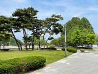 [더 가까이, 충주] 남녀노소 다채로운 체험 즐길 수 있는 탄금공원