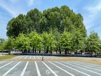 [더 가까이, 충주] 남녀노소 다채로운 체험 즐길 수 있는 탄금공원