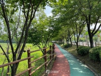 [더 가까이, 충주] 시민들이 즐겨 찾는 호암생태공원 호암지