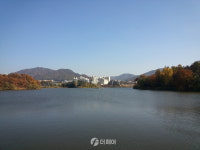 [더 가까이, 충주] 시민들이 즐겨 찾는 호암생태공원 호암지