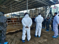 국립축산과학원·충주시, 한우농가 기술경쟁력 강화 위한 컨설팅 실시