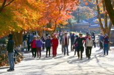 순창군 강천산군립공원 가을 단풍에 물들다...방문객 16만 명 돌파