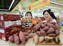 농협유통, 겨울철 건강 간식 고구마의 유혹!
