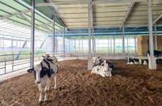 경기도, 2025년도 가축행복농장 인증제 신규 농가 모집 시작