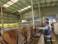 고흥군, 폭염 장기화 대비 축산농가 선제 대응...긴급 예비비 편성