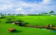 나비투어, 중국 하이난 36홀 파크골프장 11월 완공 예정