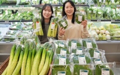 롯데마트, 한파에 널뛰는 채소값 스마트팜으로 잡는다