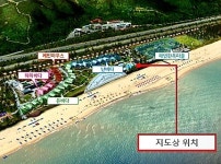 동해 망상해수욕장 먹거리 무료 드론배송 28일부터 뜬다