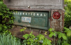 버려진 황무지가 지구의 구원자