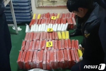 내비 잘못 찍은 국제 마약조직…부산신항서 코카인 100 적발