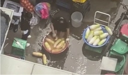 무 세척 수세미로 발 닦던 방배족발 사장 500만원 벌금형 구형