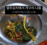 명덕여고 급식에 죽은 개구리 발견...업체 계약 해지