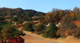 가평 크리스탈밸리CC서 카트 추락…70대 근로자 사망