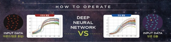 엘로이랩의 AI 초분광 솔루션 SPECTRAL AI, 세계김치연구소 연구시설에 도입