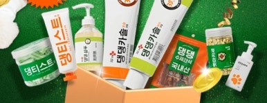 31일 캐시워크 헬로마이펫 돈버는 퀴즈, 정답 제시
