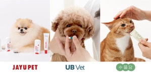 그라스메디, 가장 가까운 반려동물 주치의 유비벳 서비스 선보여