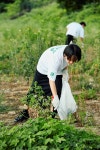롯데월드몰점 오픈 앞둔 유니클로, 송파둘레길 탄천 환경정화 활동