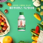 와이앤바이오, 배추 뿌리발근 착근활성제와 배추밭 토양 복합영양제 공개