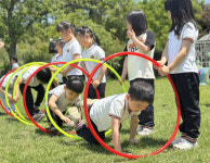 이본유치원, IB 후보학교 승인 자연 속에서 피어나는 배움, 글로벌IB교육으로 미래를 디자인하다