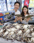 이마트, 24일까지 가을 햇 꽃게 100g 760원에 선보인다